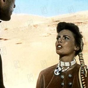 Fotoğraf Çöl Aslanı