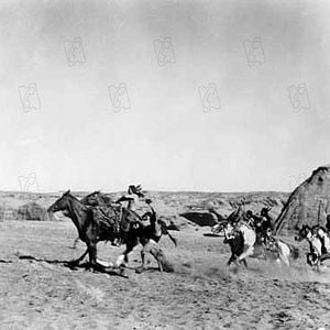 Fotoğraf Çöl Aslanı