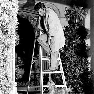 Fotoğraf Peter Falk