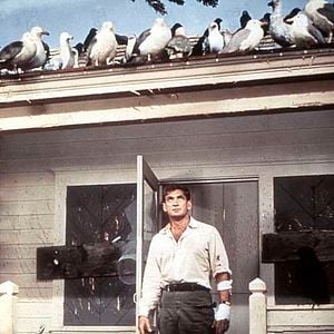 Fotoğraf Alfred Hitchcock