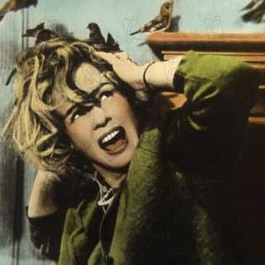 Fotoğraf Alfred Hitchcock