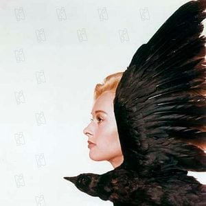 Fotoğraf Alfred Hitchcock