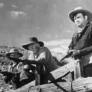 Fotoğraf Michael Curtis