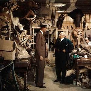 Fotoğraf James Stewart