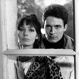 Fotoğraf Michel Deville