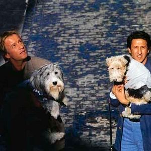 Fotoğraf Jeannot Szwarc