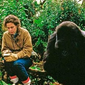 Fotoğraf Gorillas In the Mist : The Story of Dian Fossey