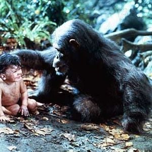 Fotoğraf Hugh Hudson