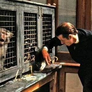 Fotoğraf Hugh Hudson