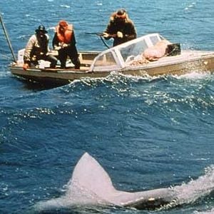 Fotoğraf Jaws
