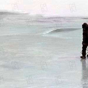 Fotoğraf Nicolas Vanier