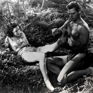 Fotoğraf W.S. Van Dyke