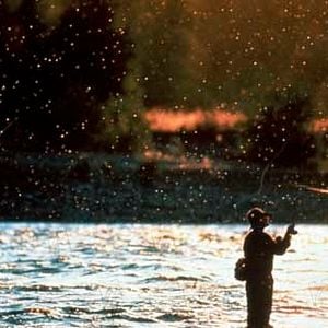 Fotoğraf Robert Redford