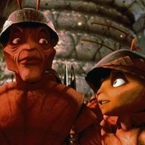 Fotoğraf Karınca Z