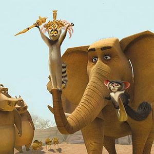 Fotoğraf Madagaskar 2