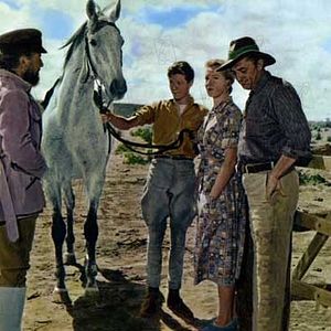 Fotoğraf Deborah Kerr