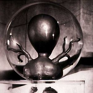 Fotoğraf William Cameron Menzies