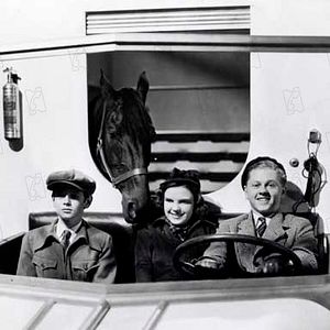 Fotoğraf Mickey Rooney