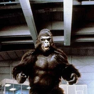 Fotoğraf King Kong 2