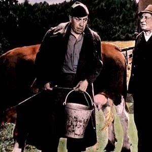 Fotoğraf Henri Verneuil