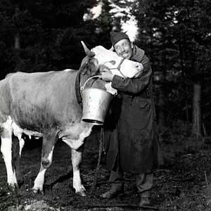 Fotoğraf Henri Verneuil