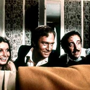 Fotoğraf Pembe Panterin Dönüşü