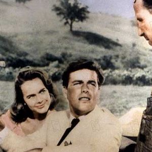 Fotoğraf Terry Moore