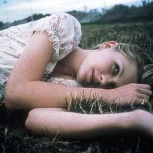 Fotoğraf Sofia Coppola