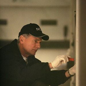 Fotoğraf Mark Harmon