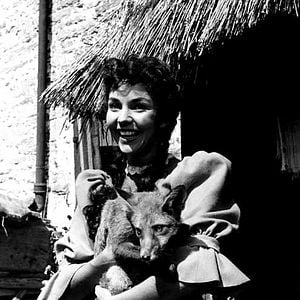 Fotoğraf Jennifer Jones