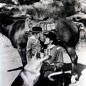 Fotoğraf The Adventures of Rin-Tin-Tin