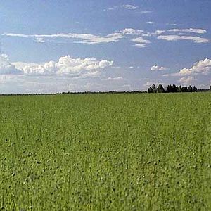 Fotoğraf Davide Ferrario