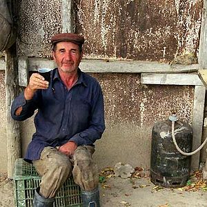 Fotoğraf Davide Ferrario