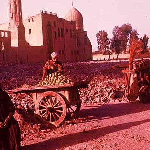 Fotoğraf Antonio Margheriti