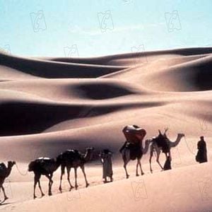 Fotoğraf Bernardo Bertolucci