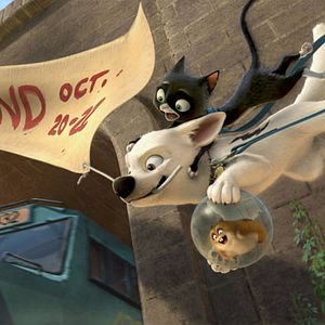 Fotoğraf Chris Williams