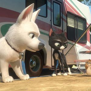 Fotoğraf Chris Williams