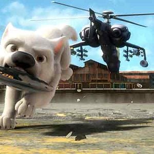 Fotoğraf Chris Williams