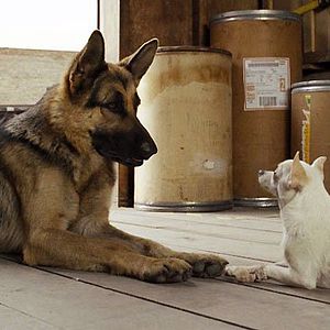 Fotoğraf Beverly Hills Çuvava