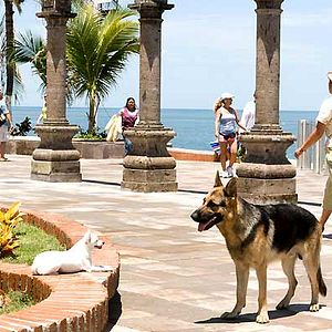 Fotoğraf Beverly Hills Çuvava