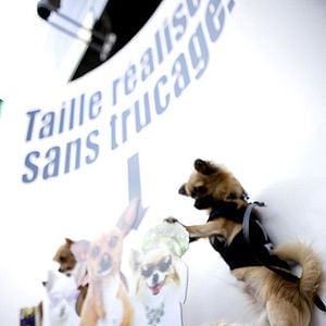 Fotoğraf Raja Gosnell