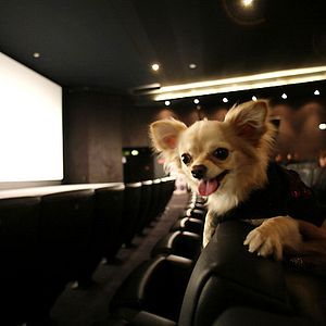 Fotoğraf Beverly Hills Çuvava