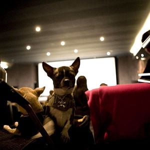 Fotoğraf Raja Gosnell