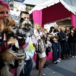 Fotoğraf Beverly Hills Çuvava