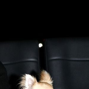 Fotoğraf Raja Gosnell