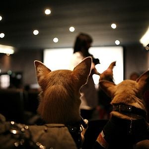 Fotoğraf Raja Gosnell