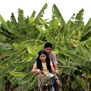 Fotoğraf Yasmin Ahmad