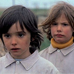 Fotoğraf El espíritu de la colmena