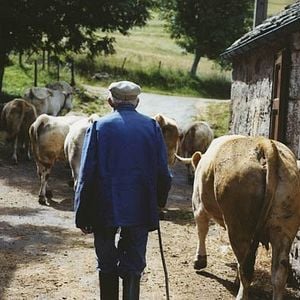 Fotoğraf Raymond Depardon