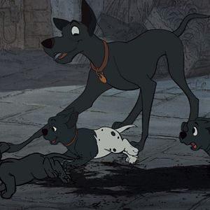 Fotoğraf 101 Dalmaçyalı